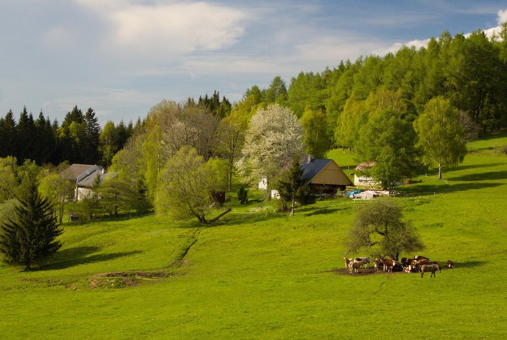 Penzion Stará Vápenka Svinná Esterno foto